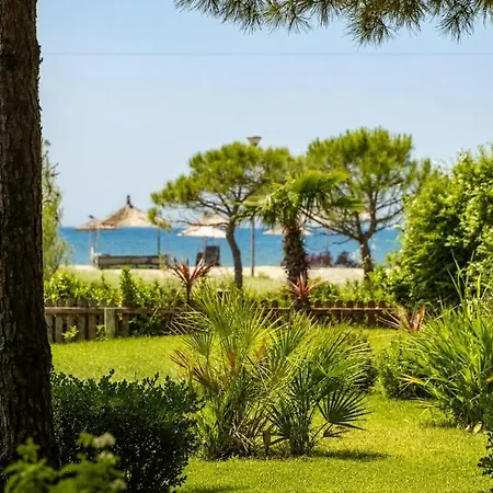 Beachfront Paradise Private Pool & Garden *